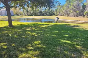 9036 Edenshire Cir, Orlando, FL 32836 - Photo 3