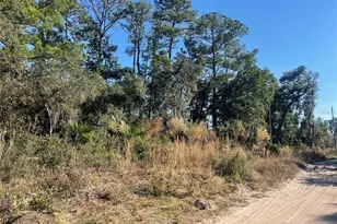 Rose Bud Dr, Deland, FL 32720 - Photo 1