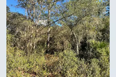 Rose Bud Drive, Deland, FL 32720 - Photo 3