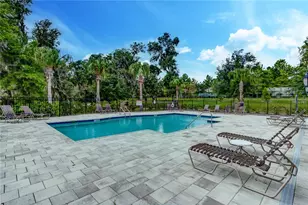 16768 Sanctuary Dr, Winter Garden, FL 34787 - Photo 79