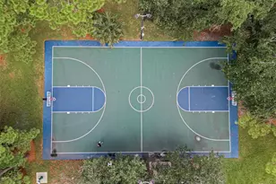 799 Oak Shadows Rd, Celebration, FL 34747 - Photo 79