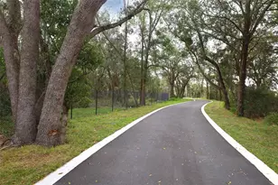 3409 Wye Oak Dr, Apopka, FL 32703 - Photo 19