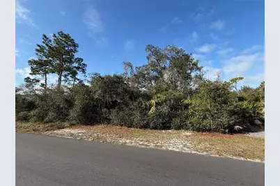 8th Avenue, Deland, FL 32724 - Photo 3