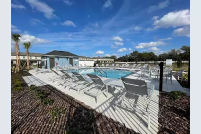 36221 Risa Michele Street, Zephyrhills, FL 33541 - Photo 3