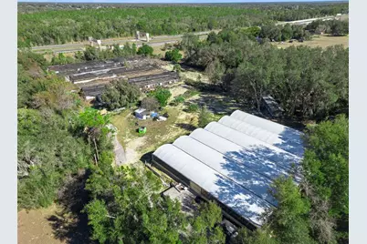 1909 Haas Road, Apopka, FL 32712 - Photo 7