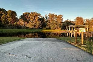 3008 Boat Lift Road, Kissimmee, FL 34746 - Photo 51