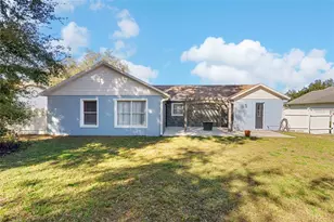 2517 Greywall Ave, Ocoee, FL 34761 - Photo 29