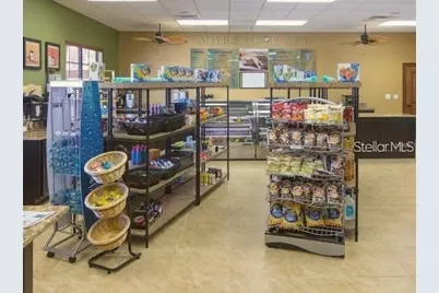 8974 California Palm Road, Kissimmee, FL 34747 - Photo 41