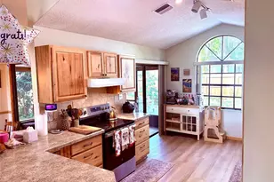 3909 Lake Forest St, Mount Dora, FL 32757 - Photo 9