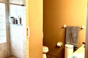 3909 Lake Forest St, Mount Dora, FL 32757 - Photo 17