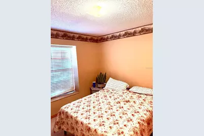 3909 Lake Forest Street, Mount Dora, FL 32757 - Photo 11