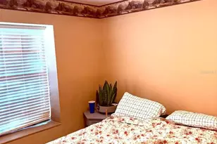 3909 Lake Forest St, Mount Dora, FL 32757 - Photo 11