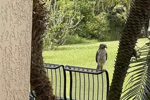 10503 Palm Cove Ave, Tampa, FL 33647 - Photo 69