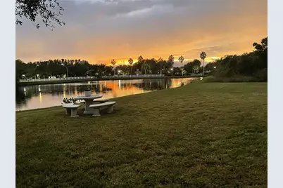 10503 Palm Cove Avenue, Tampa, FL 33647 - Photo 9