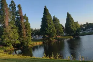 10503 Palm Cove Ave, Tampa, FL 33647 - Photo 77