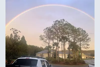 10503 Palm Cove Avenue, Tampa, FL 33647 - Photo 13