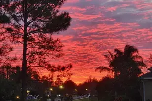 10503 Palm Cove Ave, Tampa, FL 33647 - Photo 89