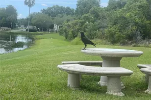 10503 Palm Cove Ave, Tampa, FL 33647 - Photo 71