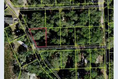 Northeast 56th Lane, Silver Springs, FL 34488 - Photo 1