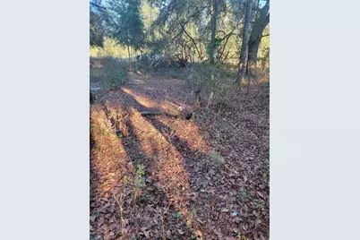 107 Lakeview Way, Interlachen, FL 32148 - Photo 5