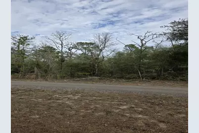 Sw 141st Court, Ocala, FL 34481 - Photo 5