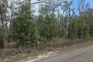 SW 141st Ct, Ocala, FL 34481 - Photo 1