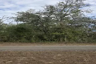 SW 141st Ct, Ocala, FL 34481 - Photo 1