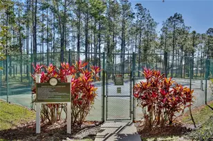 835 Birkdale St, Davenport, FL 33897 - Photo 35