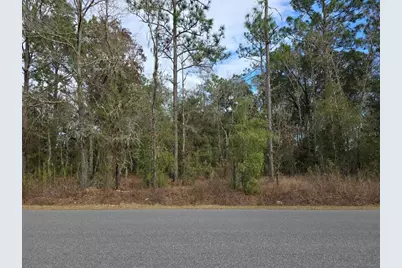 Sw 140th Court, Ocala, FL 34481 - Photo 5