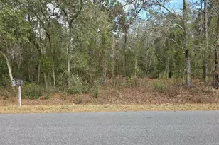 SW 140th Ct, Ocala, FL 34481 - Photo 1