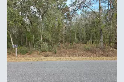 Sw 159th Court, Ocala, FL 34481 - Photo 3