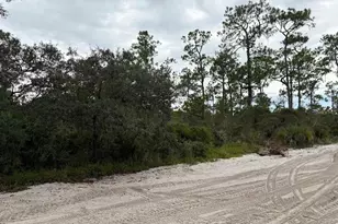 5932 Canopy Rd, Sebring, FL 33875 - Photo 3