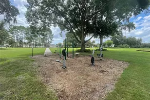 14257 Lagoon Cove Ln, Winter Garden, FL 34787 - Photo 27