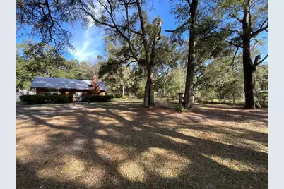 8233 NE Highway 353, Old Town, FL 32680 - Photo 3