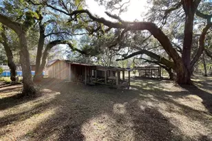 8233 NE Hwy 353, Old Town, FL 32680 - Photo 21