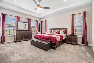 29043 Picana Ln, Wesley Chapel, FL 33543 - Photo 19