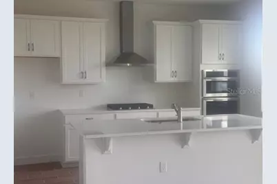 4411 Laurel Site Loop, Apopka, FL 32712 - Photo 3