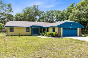 7838 Sloewood Dr, Mount Dora, FL 32757 - Photo 3
