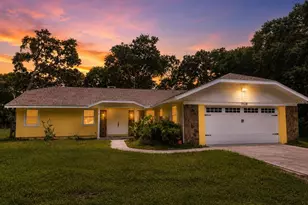 7838 Sloewood Dr, Mount Dora, FL 32757 - Photo 1