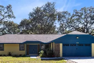 7838 Sloewood Dr, Mount Dora, FL 32757 - Photo 1
