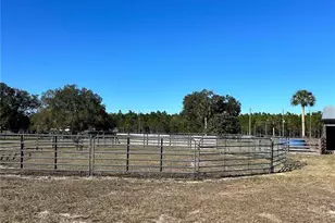 26444 County Rd 44A, Eustis, FL 32736 - Photo 27