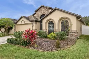 6601 Boulder Run Loop, Wesley Chapel, FL 33545 - Photo 3