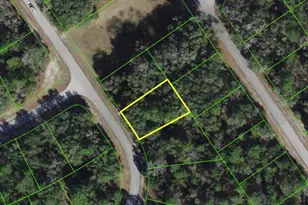 SW 79th Ave Rd, Ocala, FL 34473 - Photo 1