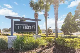 292 Pineywoods St, Saint Cloud, FL 34772 - Photo 29