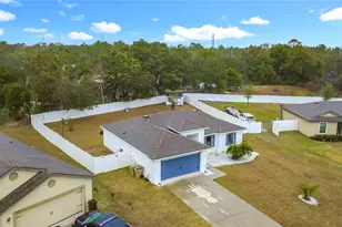 35725 Rose Moss Ave, Leesburg, FL 34788 - Photo 45