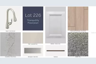 5439 Park Guell Street, Saint Cloud, FL 34771 - Photo 19