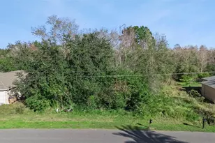 Palaiseau, Kissimmee, FL 34759 - Photo 1