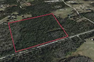 0 Osteen Maytown Rd, Osteen, FL 32764 - Photo 1