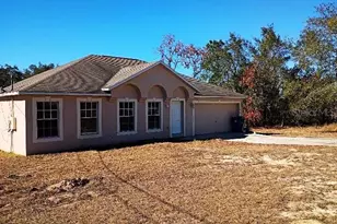 10367 Flycatcher Rd, Brooksville, FL 34613 - Photo 13