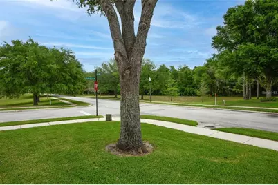 2407 Ponkan Summit Drive, Apopka, FL 32712 - Photo 9